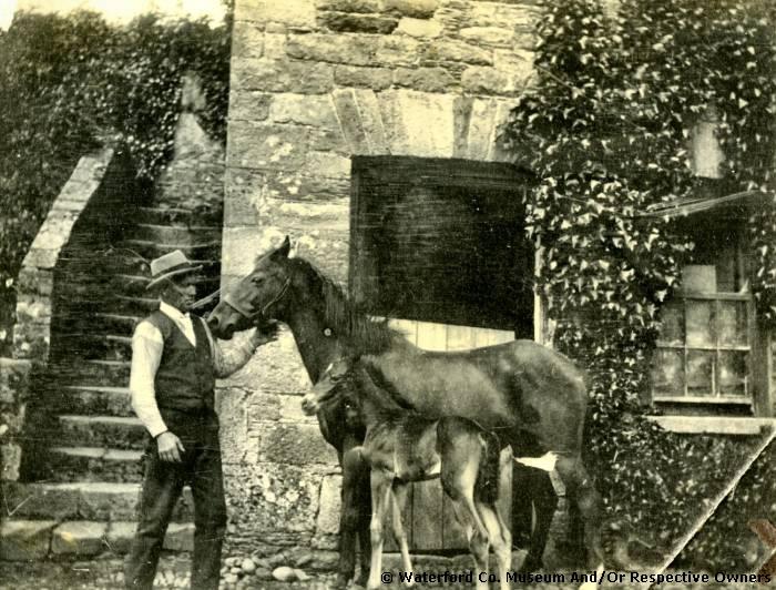 Employee With Mare And Foal, Salterbridge House, Cappoquin