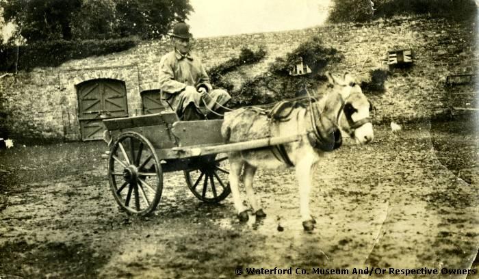 Employee In Donkey And Cart, Salterbridge House, Cappoquin 