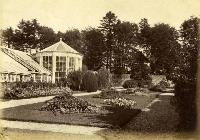 Glass House And Conservatory, Belleview House, Waterford City
