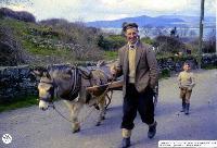 Batty Breathnach With Donkey And Cart, Baile na nGall