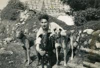 Frank Isdell With Greyhounds, Ring