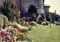 Flower Beds, Woodhouse, Stradbally