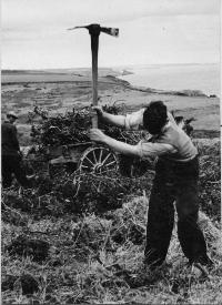 Jim Corbett Clearing Land At Woodhouse, Stradbally