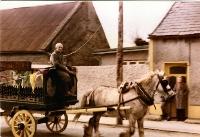 Joe Foley Driving Power’s Brewery Horse And Wagon