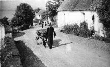 Mr. Drummy With A Donkey & Cart, Ballinagoul
