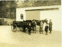 Horses And Traps, Georgestown House Kill, Co. Waterford