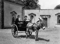 Donkey And Trap, Curraghmore House