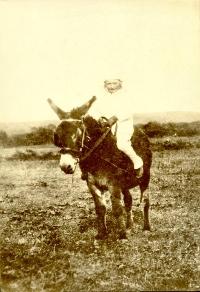 Unidentified Child Riding A Donkey